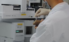 Lab Picture 3
